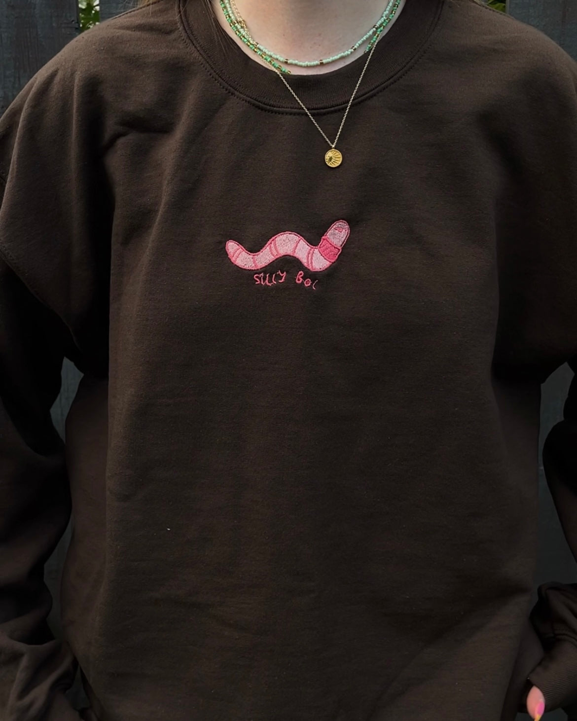 Silly Boi Worm Unisex Embroidered Brown Sweatshirt