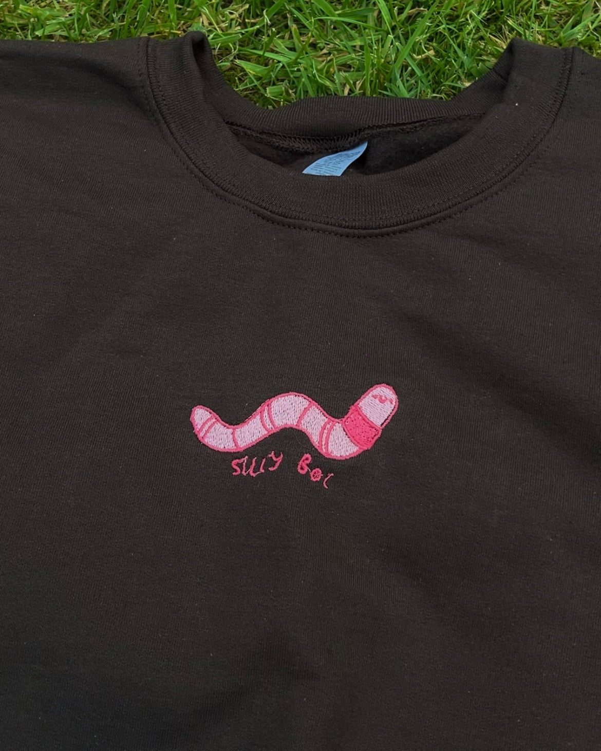 Silly Boi Worm Unisex Embroidered Brown Sweatshirt