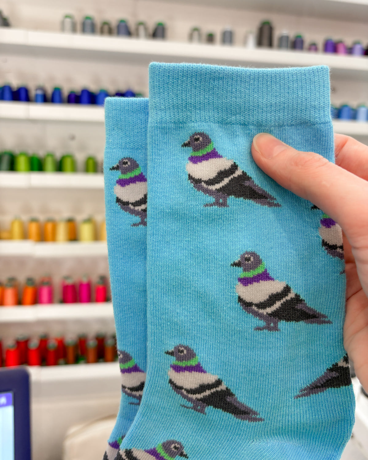 Blue Pigeon Socks
