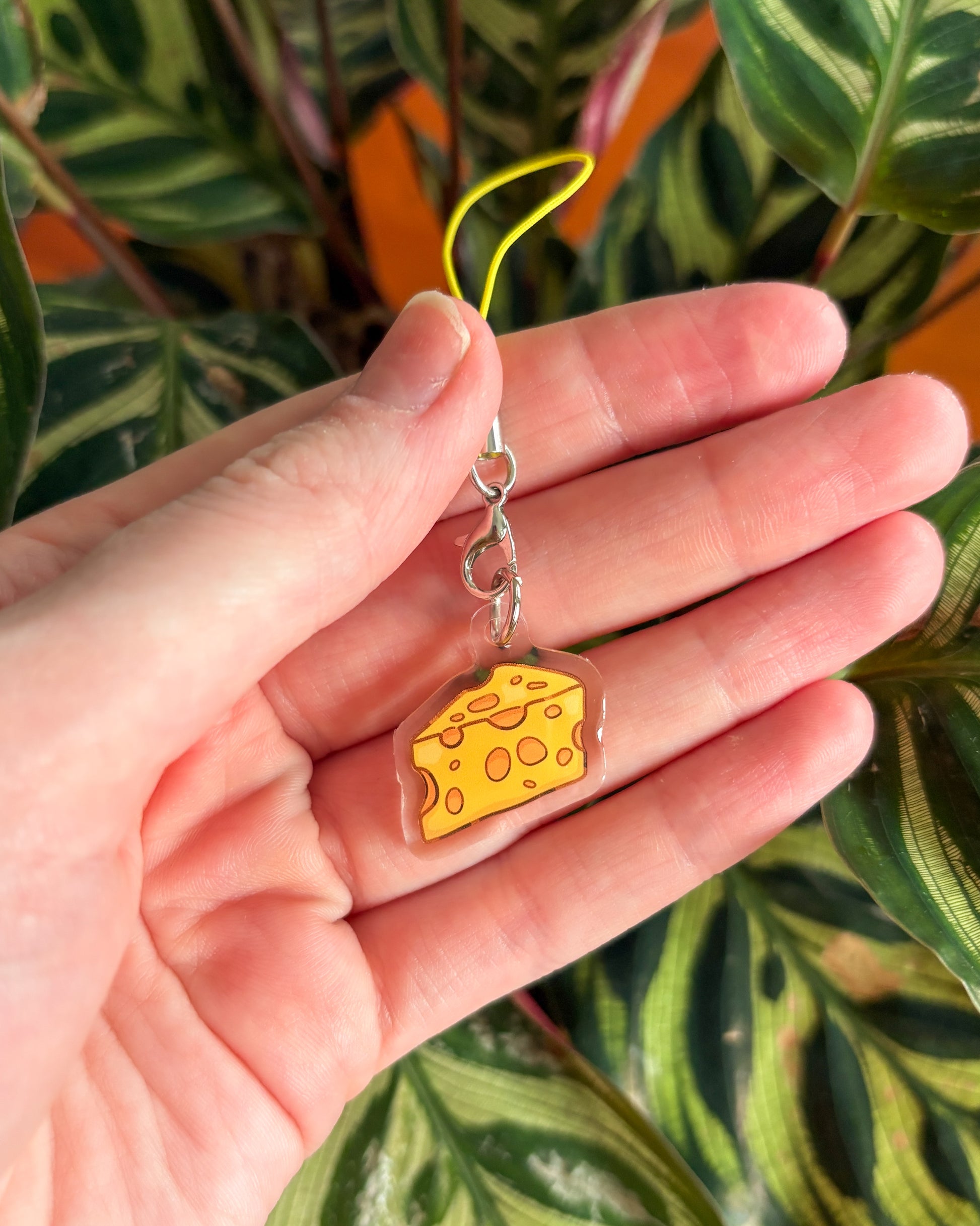 Hand holding a cheese-shaped keychain with a plant in the background