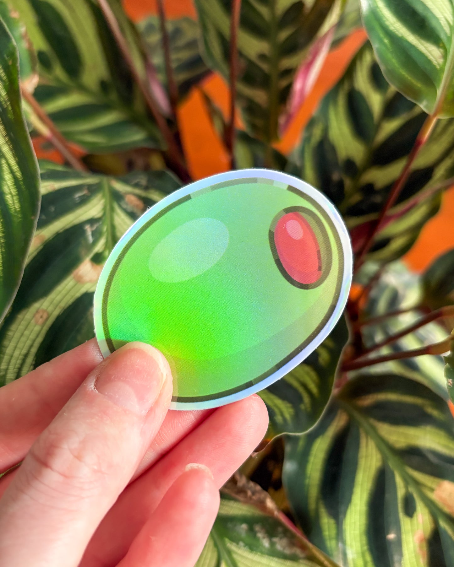 Hand holding a green olive sticker in front of a plant